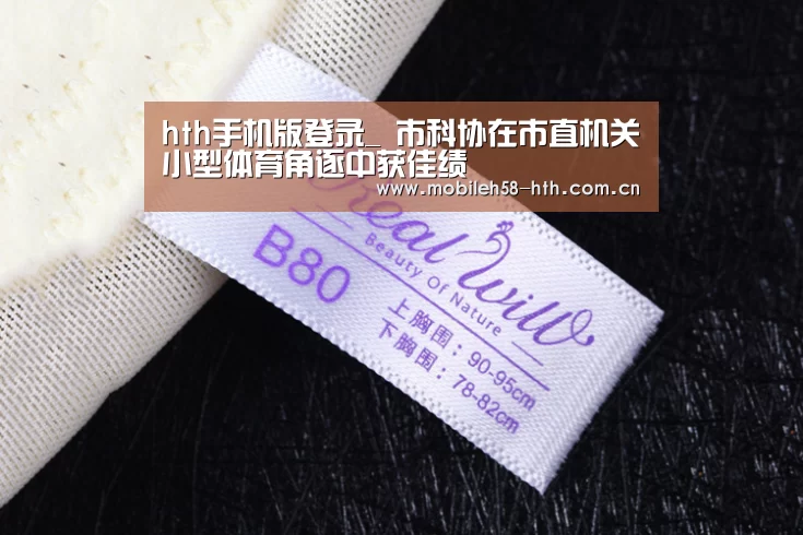hth网页版