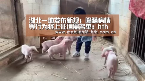 湖北一地发布新规：隐瞒病情等行为将上征信黑名单：hth(图2)